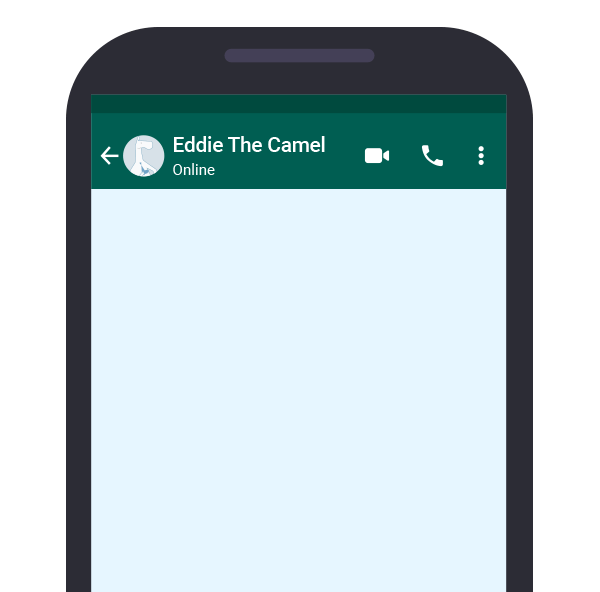 Whatsapp phone
